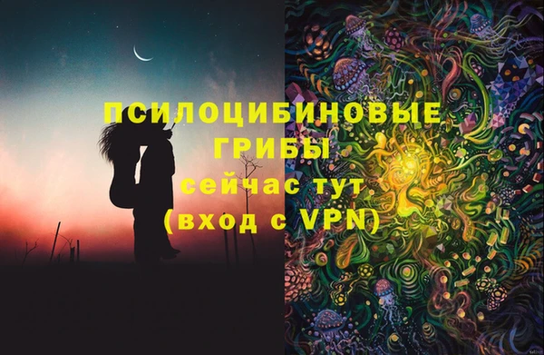 МДПВ Абдулино