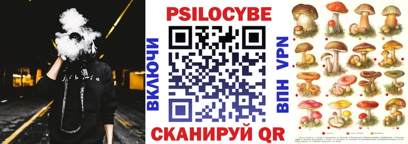 Галлюциногенные грибы Cubensis  Приморско-Ахтарск 